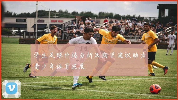 学生足球价格分析及购买建议助力青少年体育发展