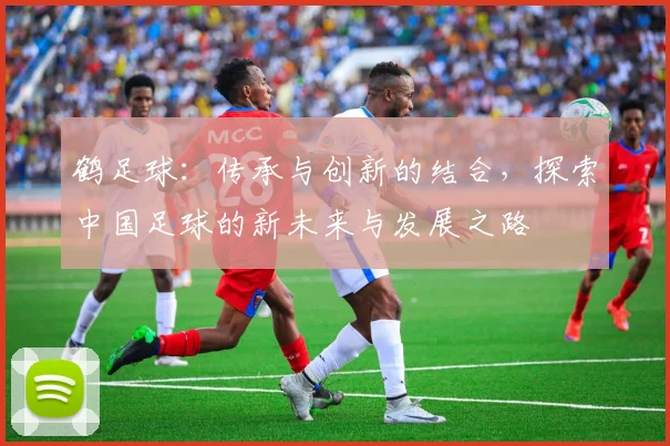 鹤足球：传承与创新的结合，探索中国足球的新未来与发展之路
