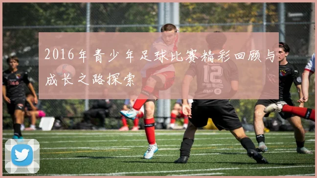 2016年青少年足球比赛精彩回顾与成长之路探索